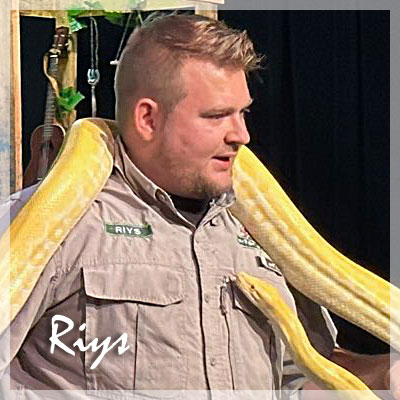 RIYS